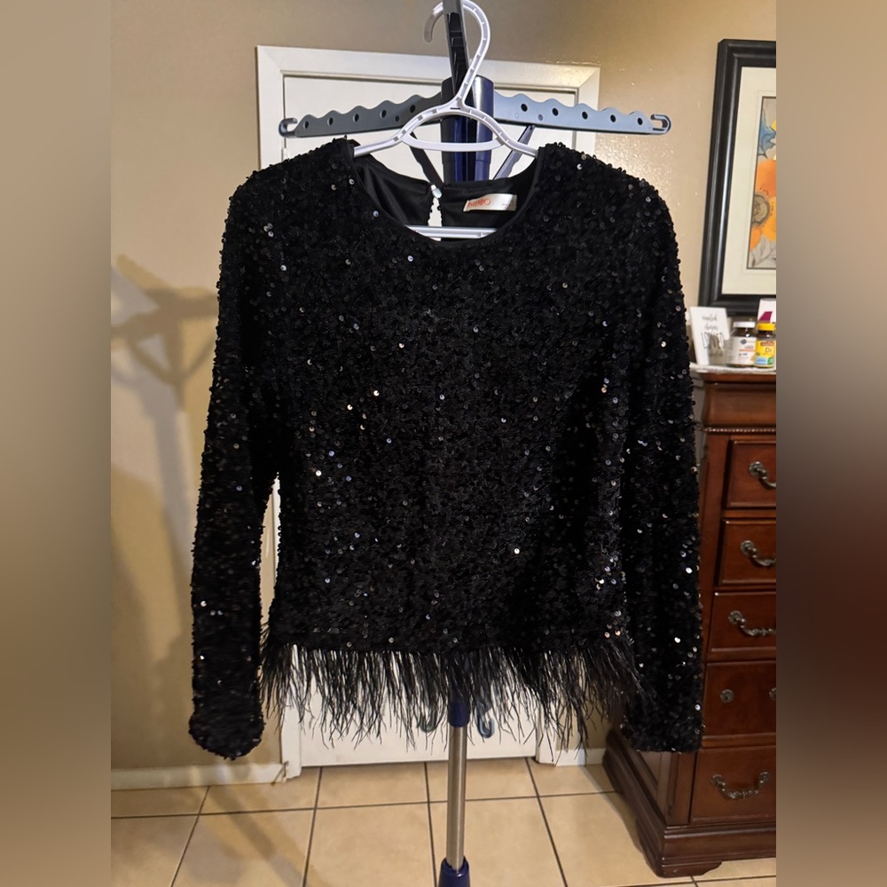 Black Sequin Long Sleeve Top with Feather Trim